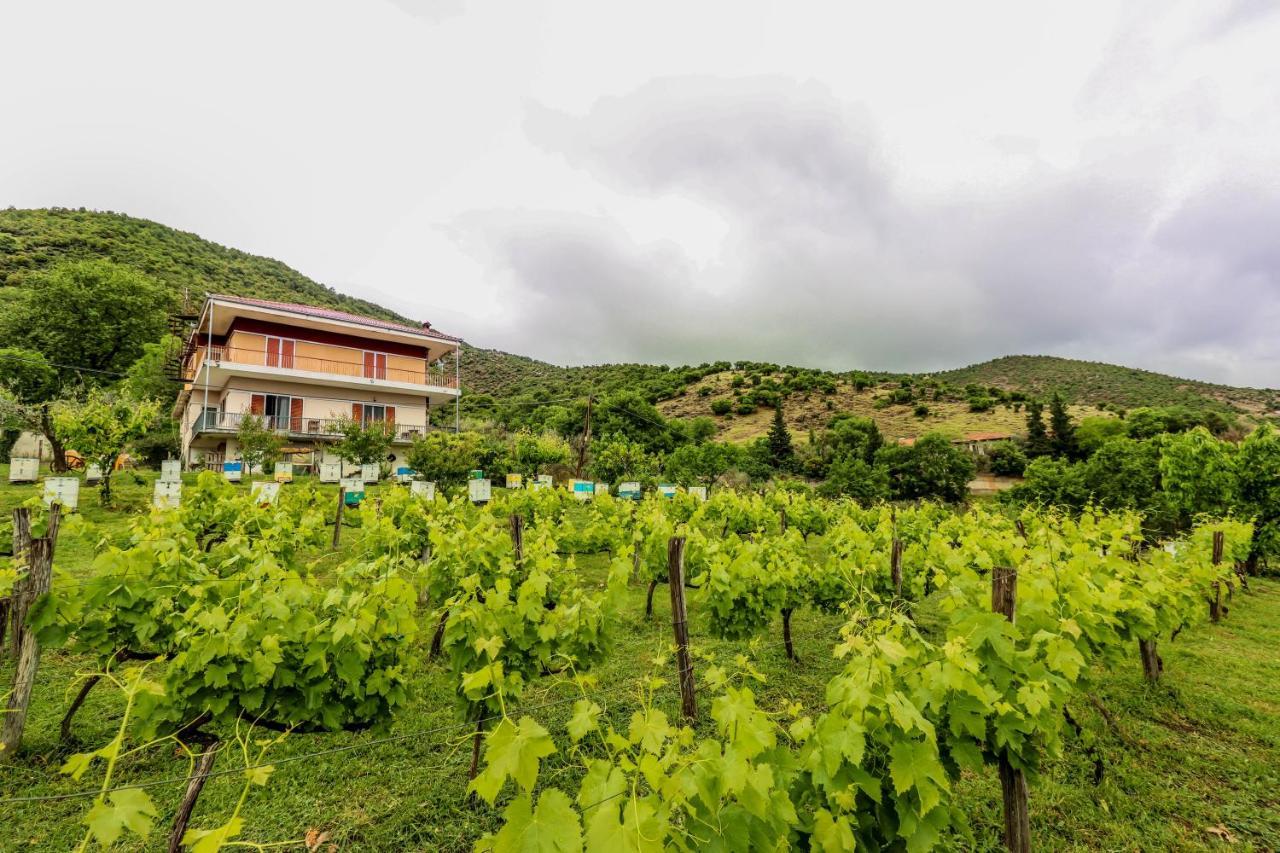 Country Home Genesi 20 Min From Trikala Extérieur photo