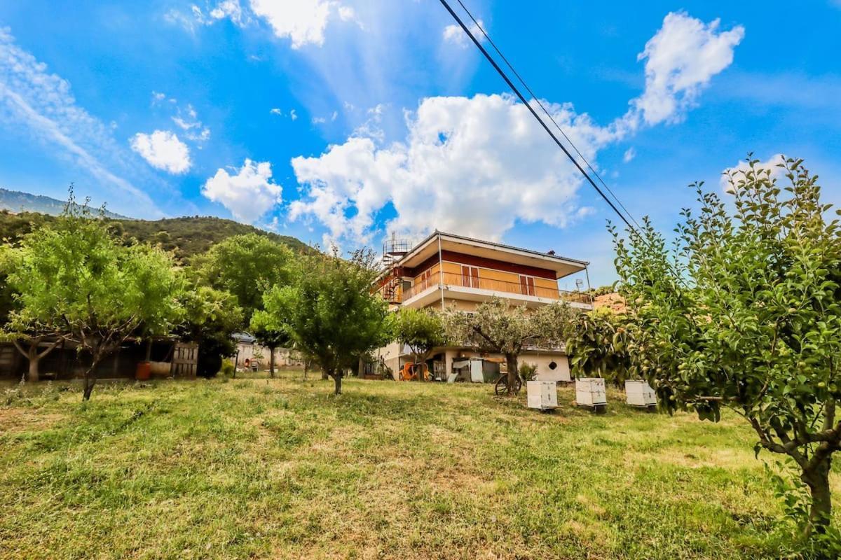 Country Home Genesi 20 Min From Trikala Extérieur photo