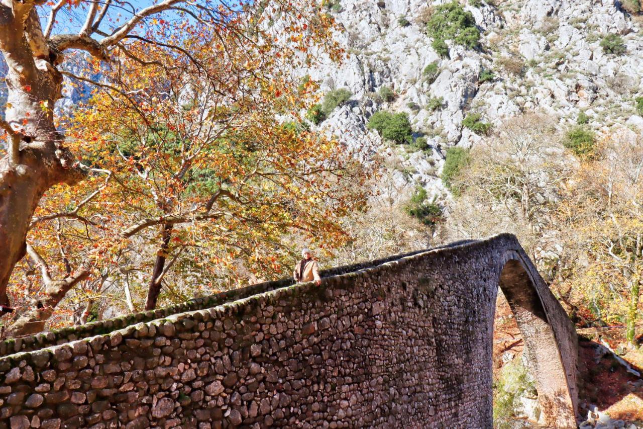 Country Home Genesi 20 Min From Trikala Extérieur photo