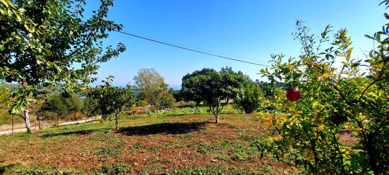 Country Home Genesi 20 Min From Trikala Extérieur photo