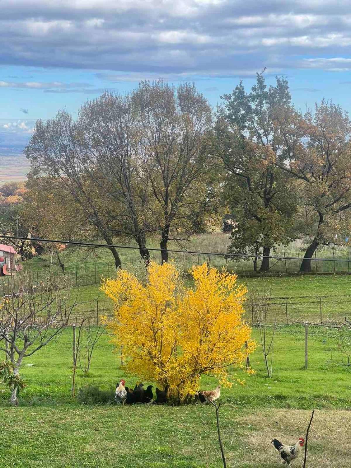 Country Home Genesi 20 Min From Trikala Extérieur photo