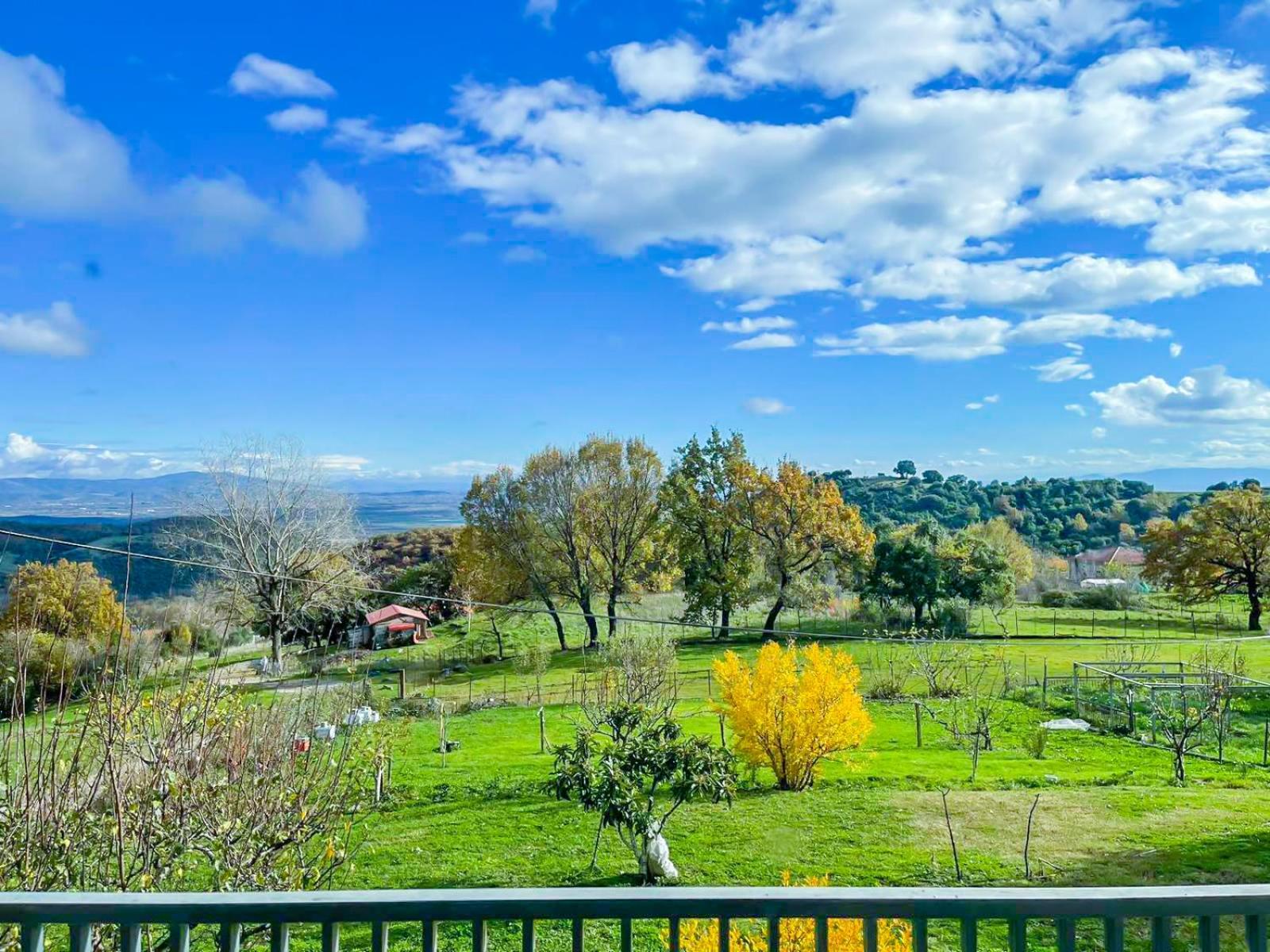 Country Home Genesi 20 Min From Trikala Extérieur photo