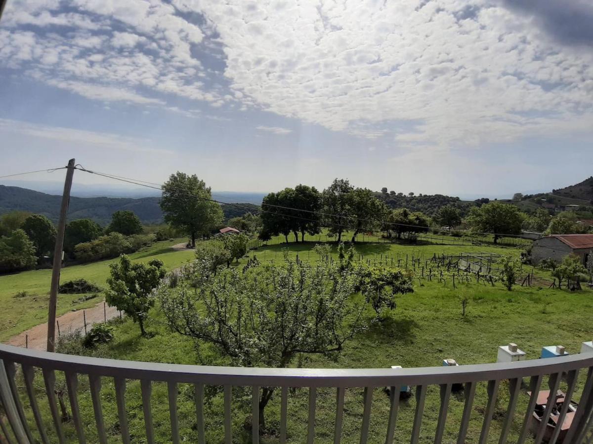 Country Home Genesi 20 Min From Trikala Extérieur photo