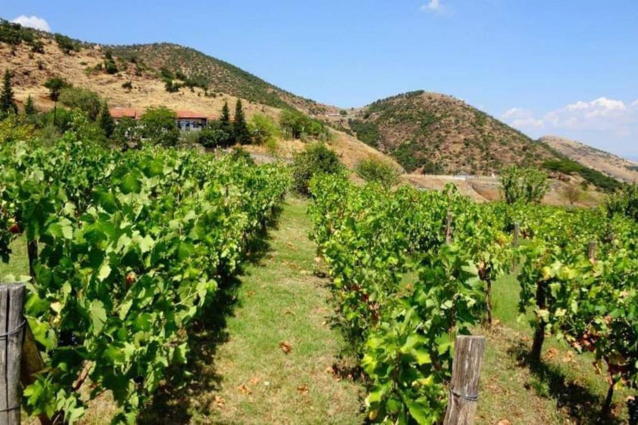 Country Home Genesi 20 Min From Trikala Extérieur photo