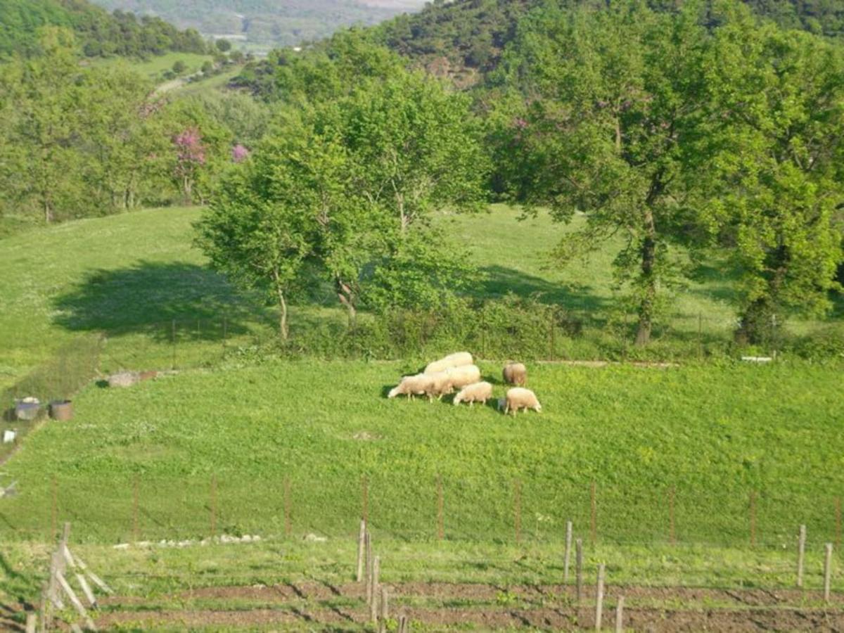 Country Home Genesi 20 Min From Trikala Extérieur photo