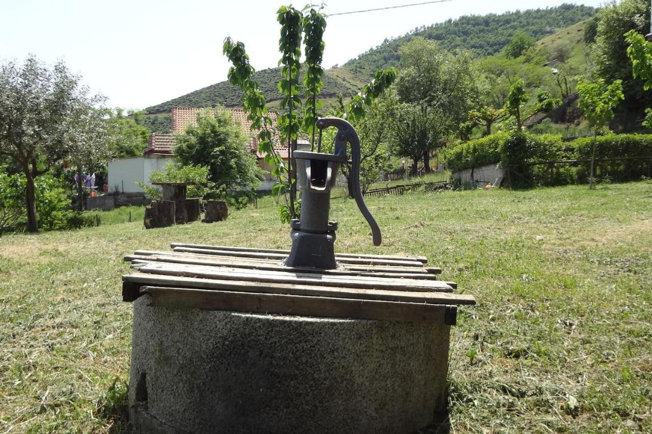 Country Home Genesi 20 Min From Trikala Extérieur photo