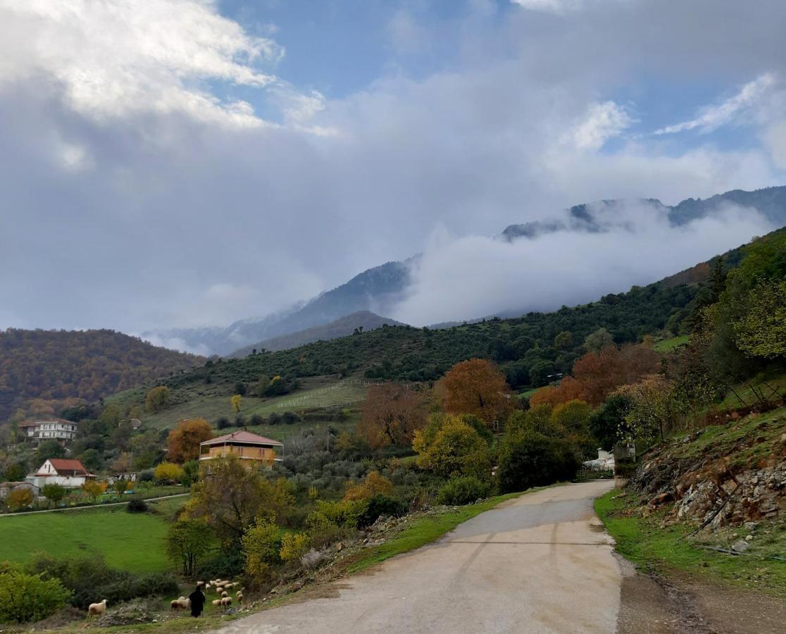 Country Home Genesi 20 Min From Trikala Extérieur photo